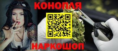 a pvp Гатчина