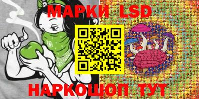 a pvp Гатчина