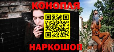 мяу мяу мука Гай