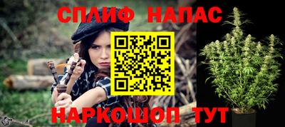 a pvp Гатчина